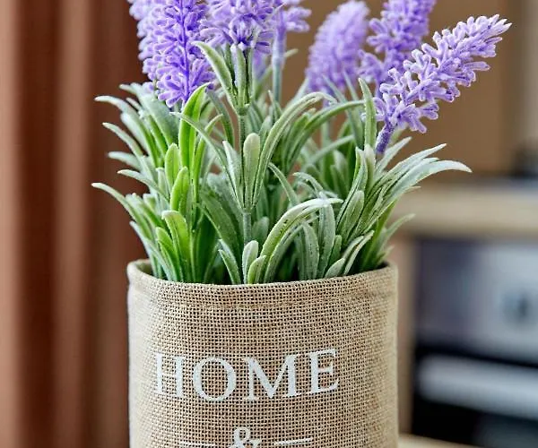 Smarald 2 * Năvodari