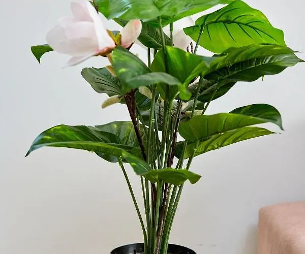 아파트 Smarald 2 *